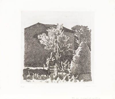 Il Poggio al Mattino