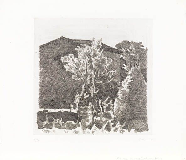 Giorgio Morandi - Il Poggio al Mattino