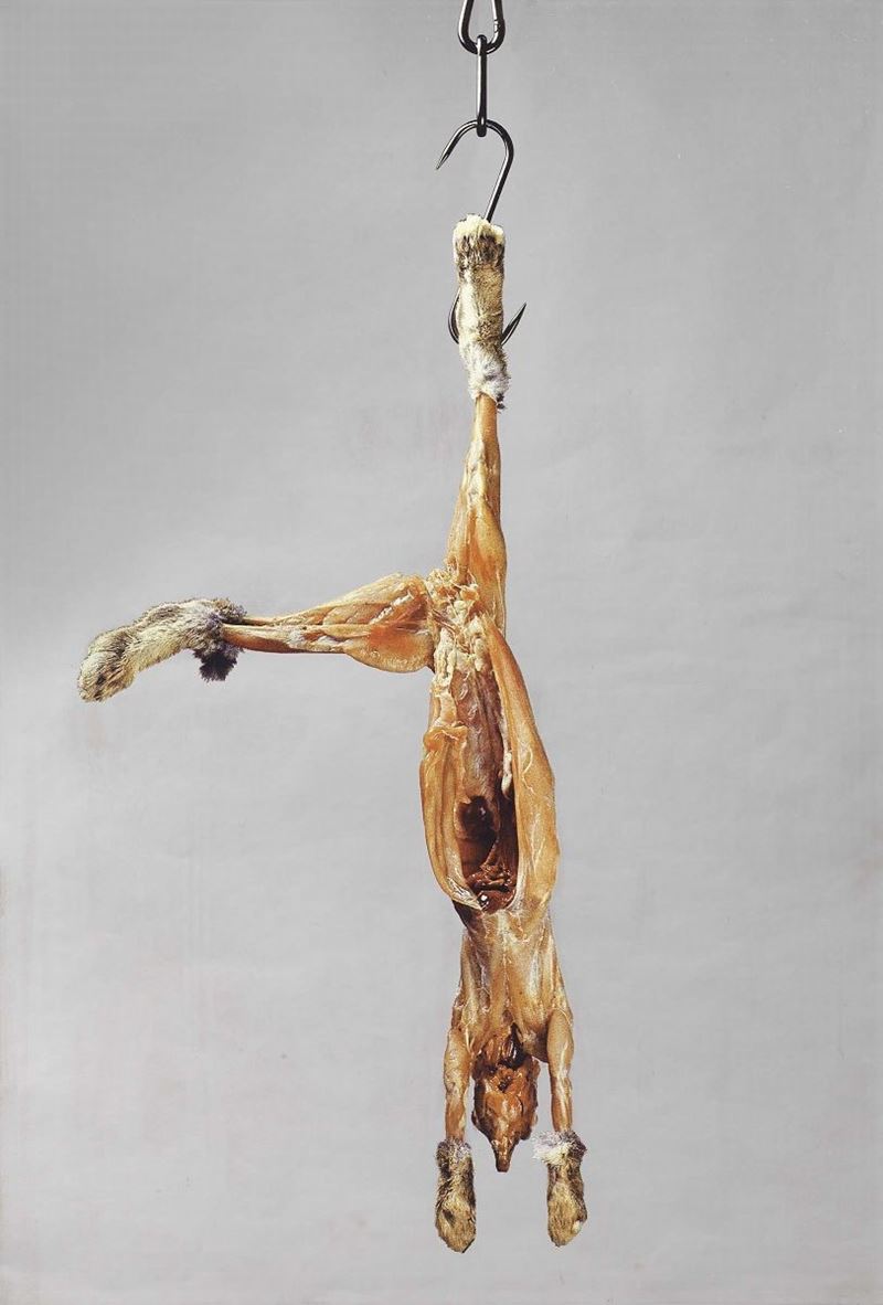 Michelangelo Pistoletto - Coniglio