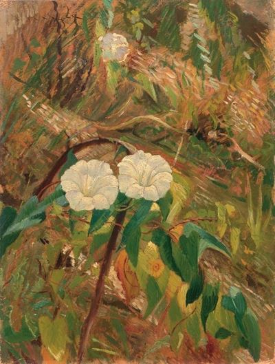 Fiori