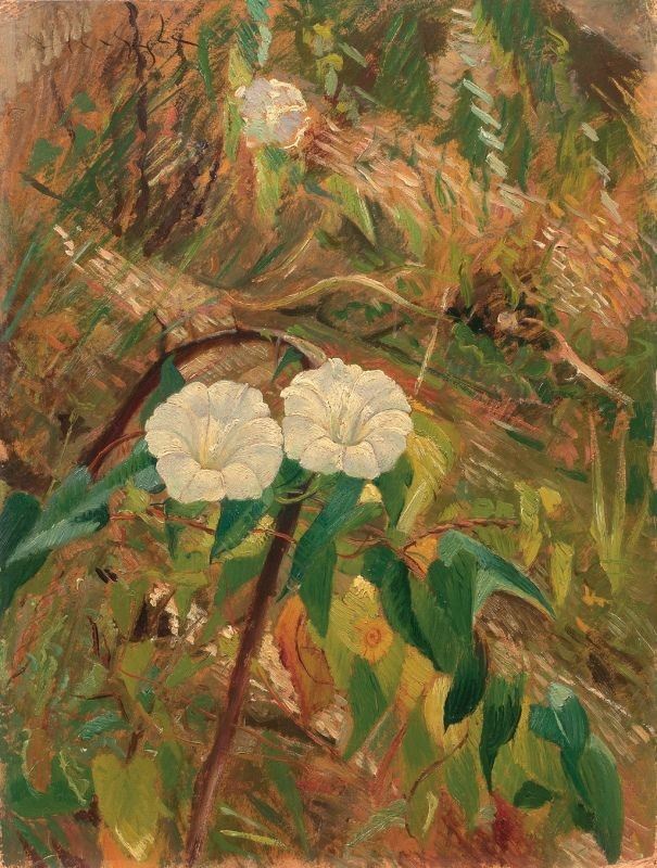 Valentino Ghiglia - Fiori