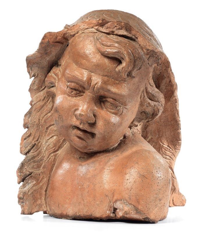 Scuola Veneta del XVIII Secolo - Testa di Putto Ammantato