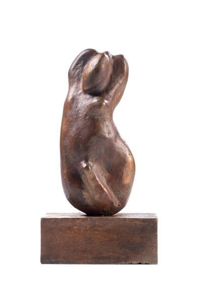 Torso