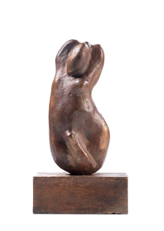 Stephen Cox - Torso