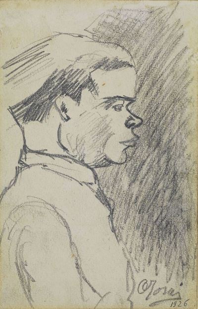 Giovane di Profilo