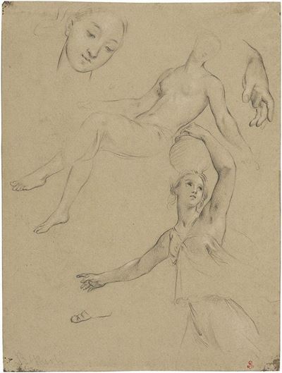 Studi di Figura