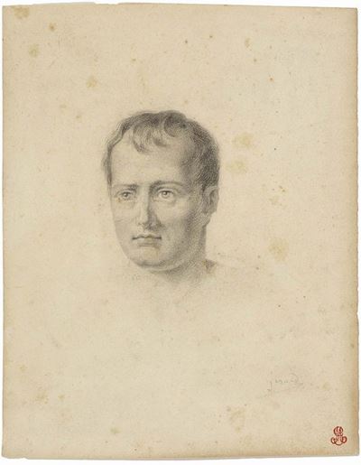 Ritratto di Napoleone