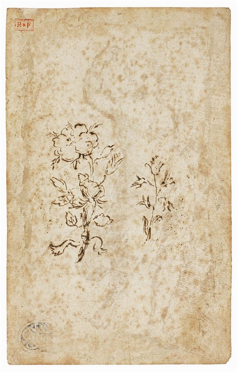 Marcantonio Franceschini - «diana Cacciatrice», Recto, e «disegno Floreale», Verso