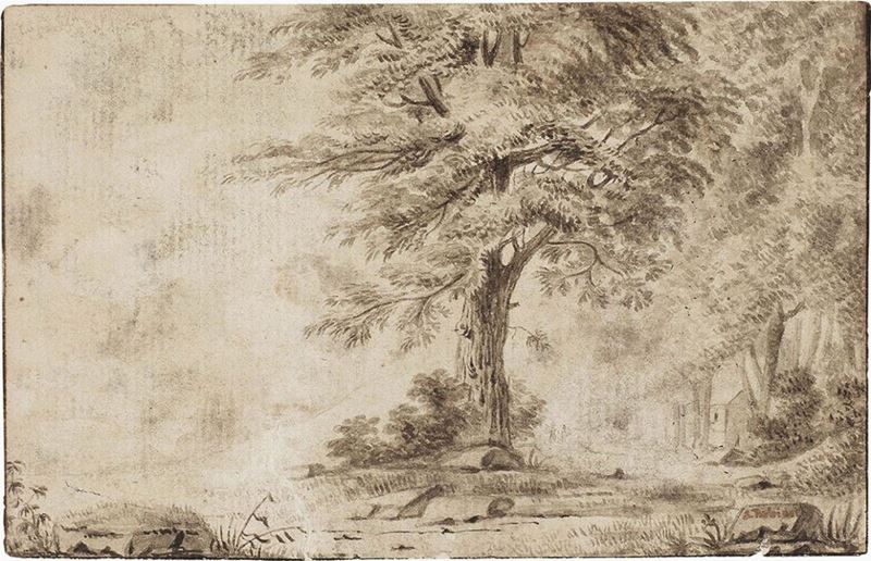 Anonimo Seconda Metà del XIX Secolo - Paesaggio con Albero
