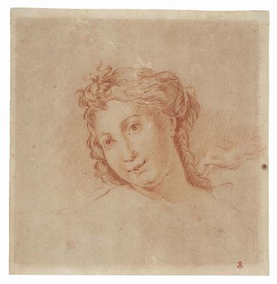 Testa di Donna