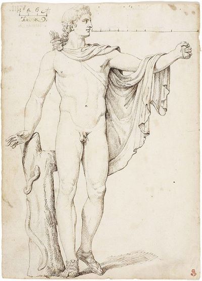 «apollo del Belvedere», Recto e Verso