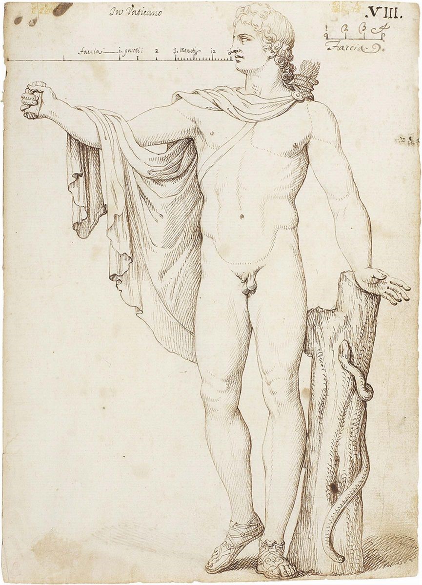 Giovan Battista Visconti (cerchia Di) - «apollo del Belvedere», Recto e Verso