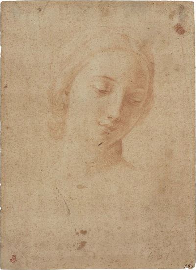 Ritratto di Giovane Donna
