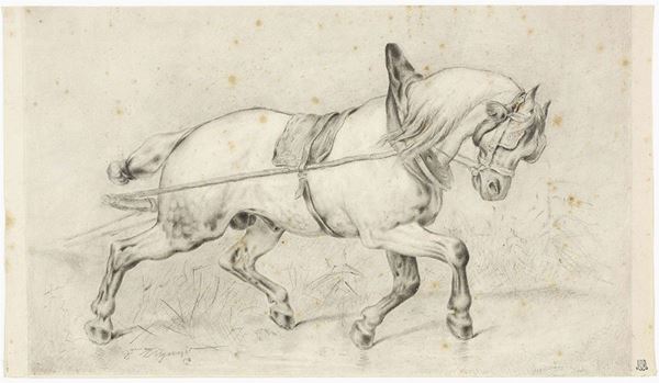 Anonimo del XX secolo - Cavallo da tiro