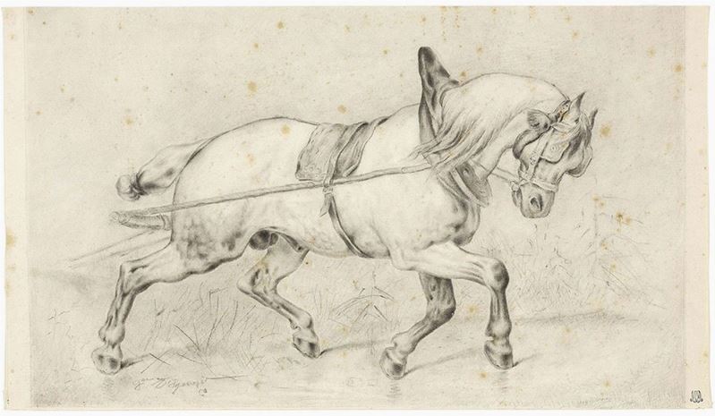 Anonimo del XX Secolo - Cavallo da Tiro