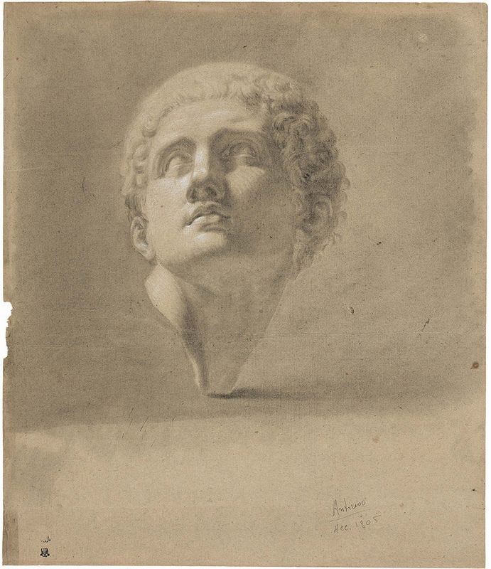 Anonimo del XIX Secolo - Antinoo