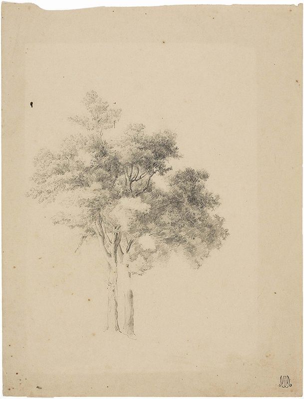 Pietro Fragiacomo - Albero