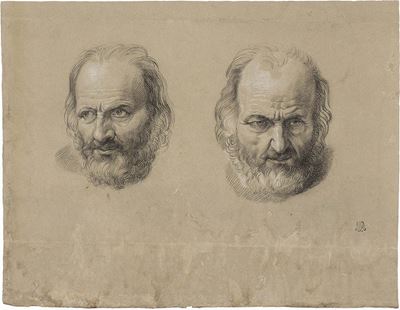 Due Teste di Vecchio Barbuto