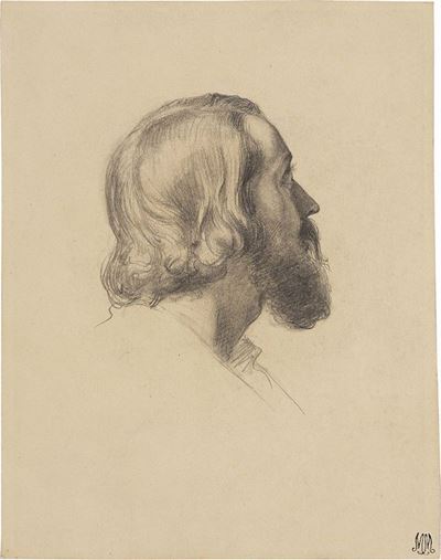 Studio di Testa Virile