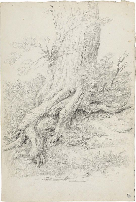 Pietro Ronzoni - Studio per Radice D'albero