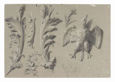 Foglie D'acanto e Rapace