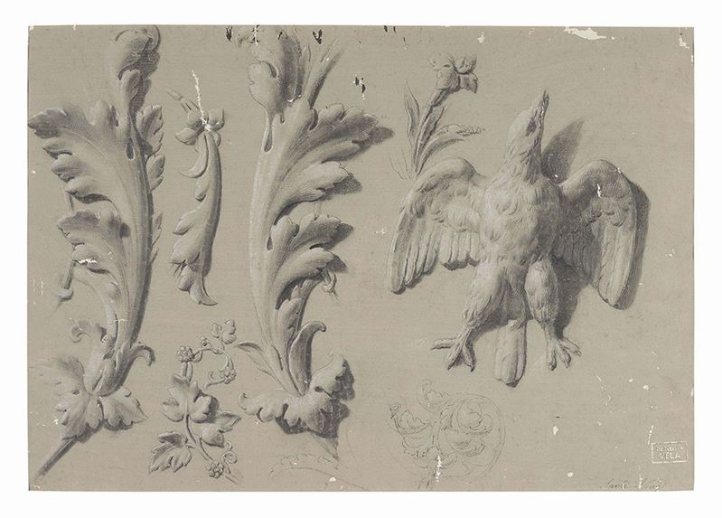 Sante Nucci - Foglie D'acanto e Rapace