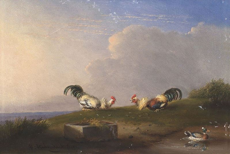 Francois Vandeverdonk - Galli