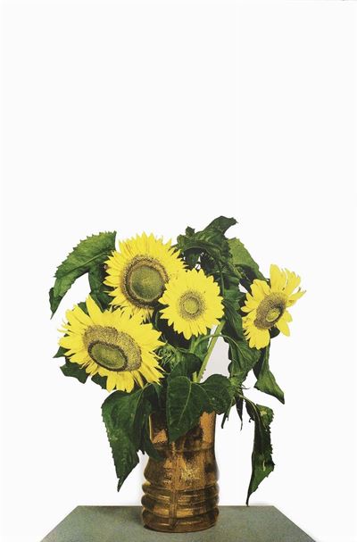 Girasoli