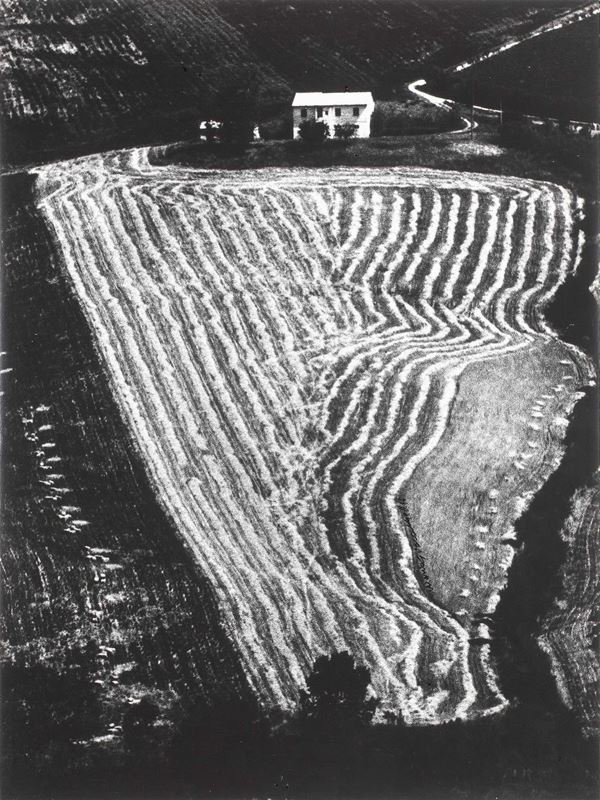 Mario Giacomelli - Presa di coscienza sulla natura, Settembre