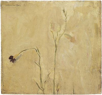 Fiori Secchi