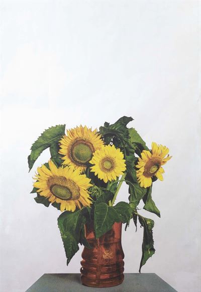 Girasoli