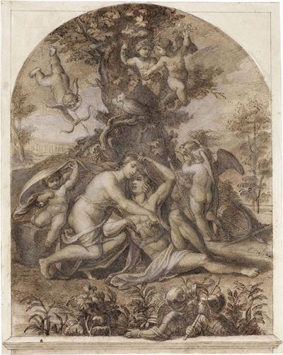 Sette Disegni su Carta del XVII-XVIII Secolo