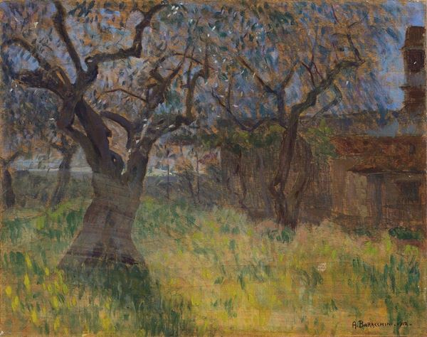 Adriano Baracchini Caputi - Oliveta