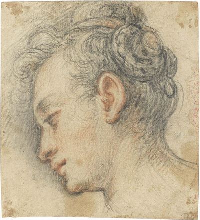 Testa di Donna