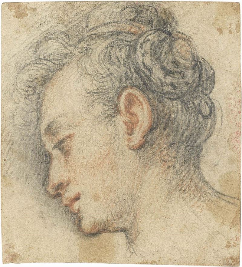 Ambito di Ventura Salimbeni - Testa di Donna
