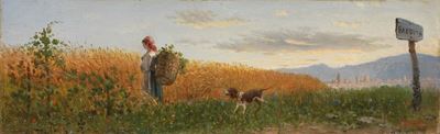 Una Bandita sulle Colline Fiorentine