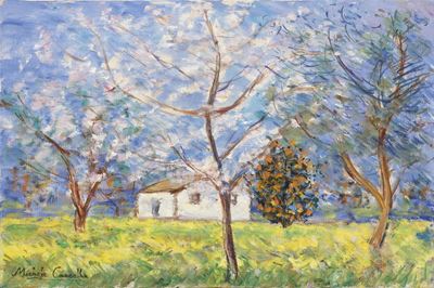 Paesaggio con Albero D'arancio