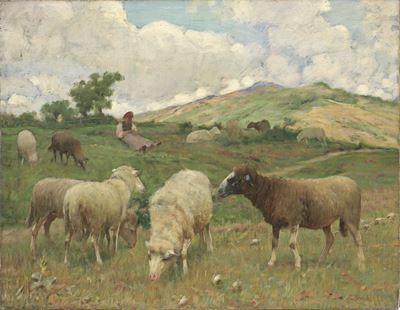 Pascolo alla Consuma