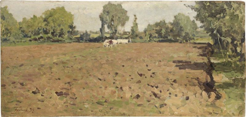 Achille Befani Formis - Lavoro nei Campi