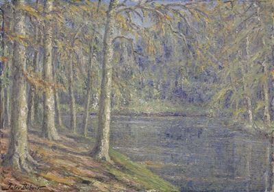 Paesaggio Lacustre