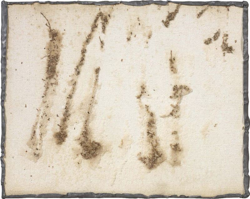 Pier Paolo Calzolari - Senza Titolo