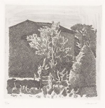 Il Poggio al Mattino