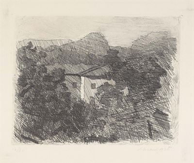Paesaggio di Roffeno