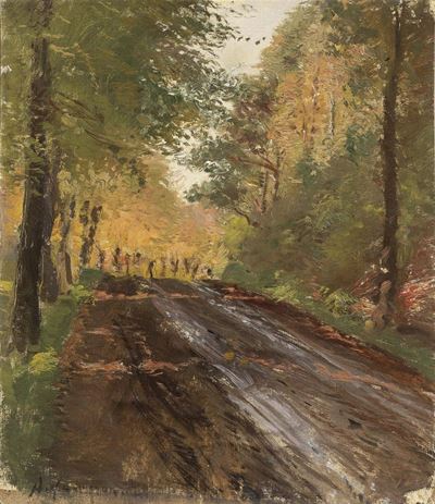 Strada nel Bosco