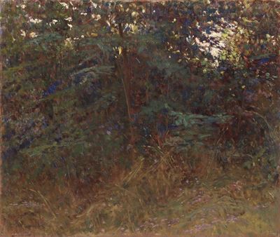 Angolo di Bosco