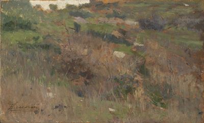 Campagna in Maremma
