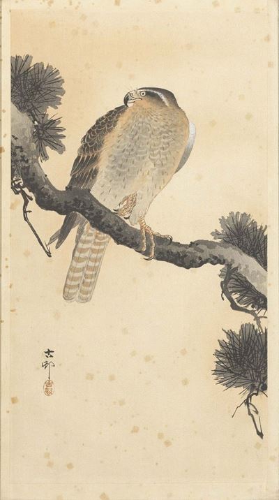 Due Stampe di Ohara Koson