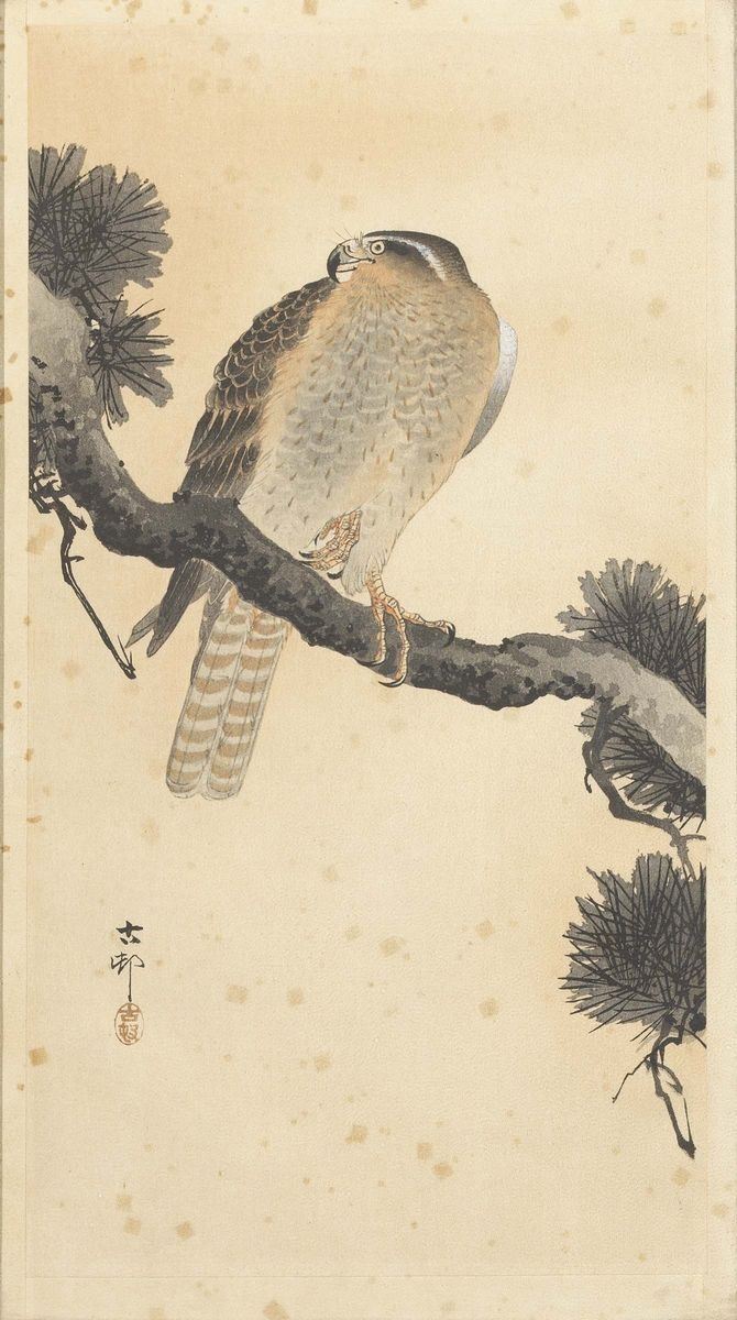 Due Stampe di Ohara Koson