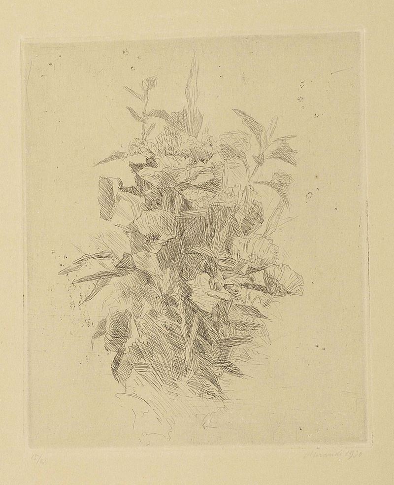 Giorgio Morandi - Fiori di Campo