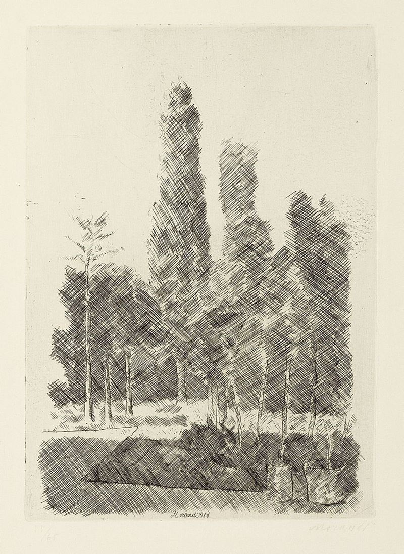 Giorgio Morandi - I Pioppi